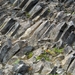 IJSLAND 300pic  0544