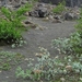 IJSLAND 300pic  0551