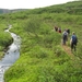 IJSLAND 300pic  0559