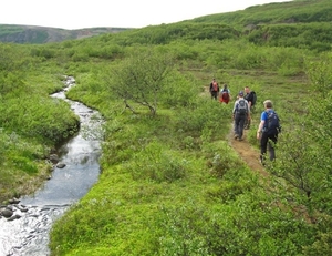 IJSLAND 300pic  0559