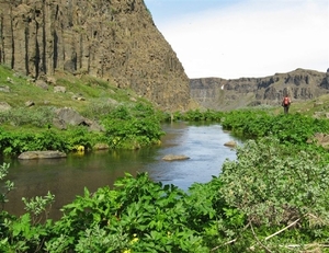 IJSLAND 300pic  0576