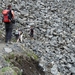 IJSLAND 300pic  0587