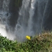 IJSLAND 300pic  0592