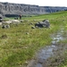 IJSLAND 300pic  0593