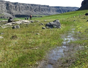 IJSLAND 300pic  0593
