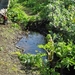 IJSLAND 300pic  0596