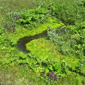 IJSLAND 300pic  0598