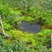 IJSLAND 300pic  0600