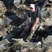 IJSLAND 300pic  0608