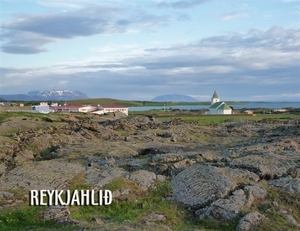 IJSLAND 300pic  0621