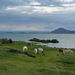 IJSLAND 300pic  0623