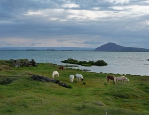 IJSLAND 300pic  0623