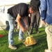 IJSLAND 300pic  0626