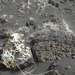 IJSLAND 300pic  0637