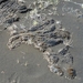 IJSLAND 300pic  0638