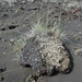 IJSLAND 300pic  0639