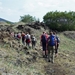 IJSLAND 300pic  0641