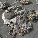 IJSLAND 300pic  0642