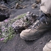 IJSLAND 300pic  0644