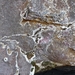 IJSLAND 300pic  0647