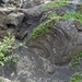 IJSLAND 300pic  0648