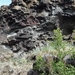 IJSLAND 300pic  0650