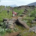 IJSLAND 300pic  0655