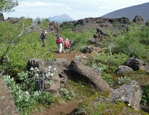 IJSLAND 300pic  0655