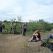 IJSLAND 300pic  0656