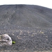 IJSLAND 300pic  0665