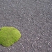 IJSLAND 300pic  0666