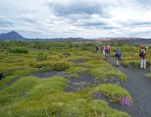 IJSLAND 300pic  0673