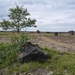 IJSLAND 300pic  0674
