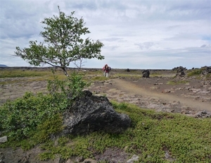 IJSLAND 300pic  0674