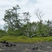 IJSLAND 300pic  0675