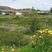 IJSLAND 300pic  0677