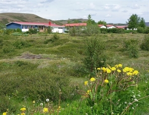 IJSLAND 300pic  0677