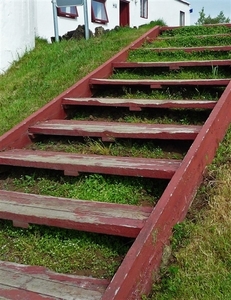 IJSLAND 300pic  0682