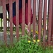 IJSLAND 300pic  0683