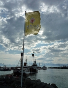 IJSLAND 300pic  0686