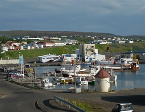 IJSLAND 300pic  0701