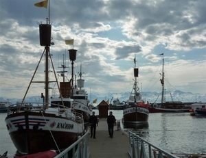 IJSLAND 300pic  0703