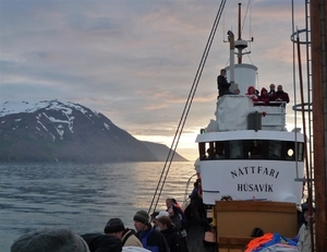 IJSLAND 300pic  0707