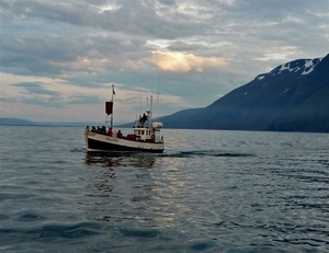 IJSLAND 300pic  0708