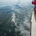 IJSLAND 300pic  0711