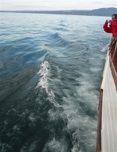 IJSLAND 300pic  0711