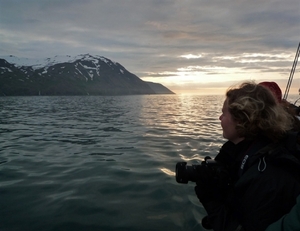 IJSLAND 300pic  0715
