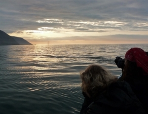 IJSLAND 300pic  0716