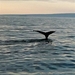 IJSLAND 300pic  0718
