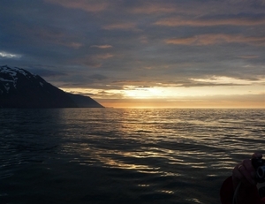 IJSLAND 300pic  0724